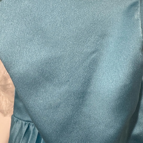 A&F Giselle Clasp-Back Pleated Midi Dress. (Size Large Tall) - Picture 5 of 8